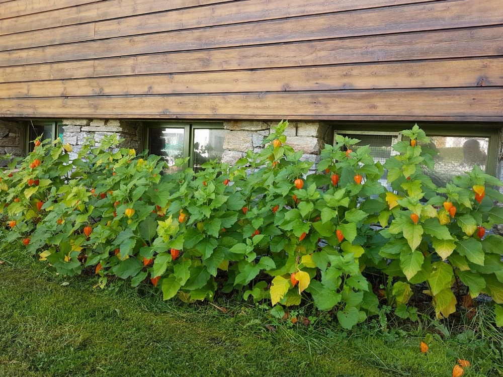 Hotel La Cascata Main image