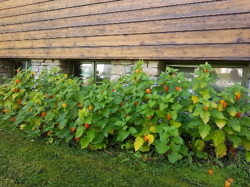 Hotel La Cascata image 3