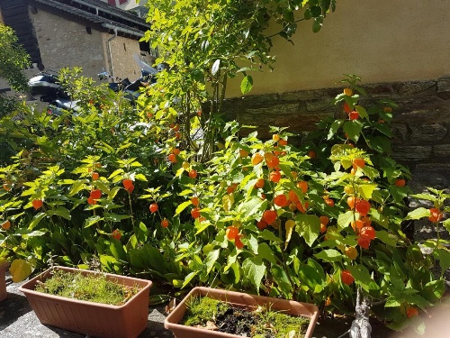 Hotel La Cascata image 37